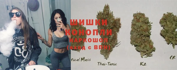 ECSTASY Лагань