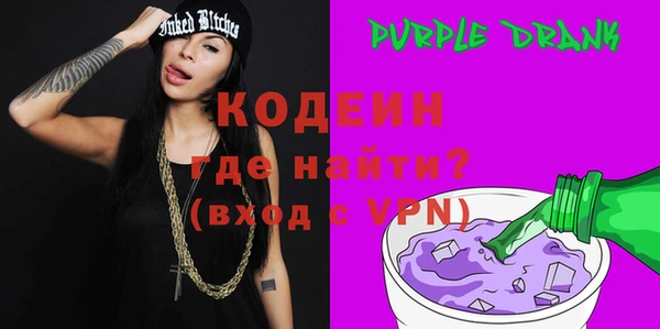 шишки Лабытнанги