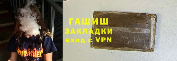 шишки Лабытнанги