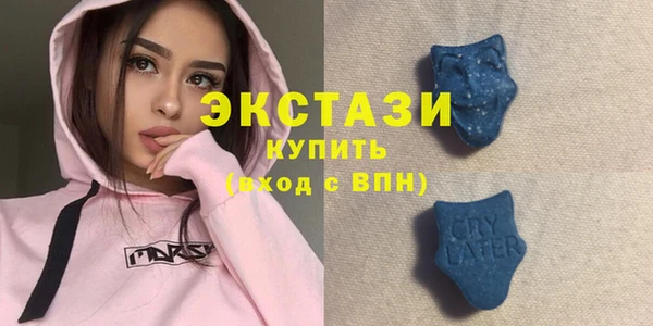 ECSTASY Лагань