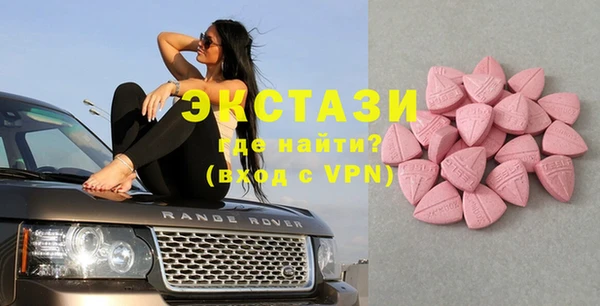 шишки Лабытнанги