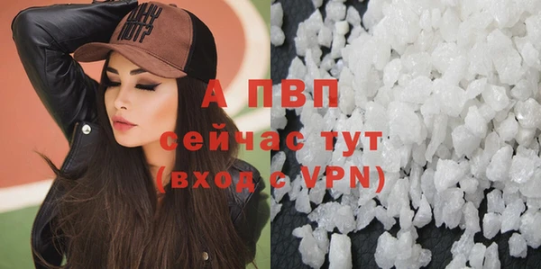 ECSTASY Лагань