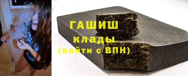 шишки Лабытнанги